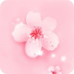 无敌神马影院免费版