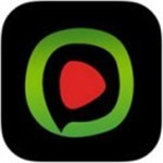 992tv影视apk下载入口