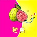加藤视频软件下载安装