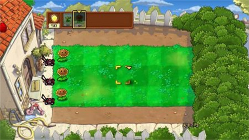 植物大战僵尸无名版正式版2