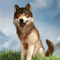 野狼模拟器3DWild Wolf Simulator 3D_logo