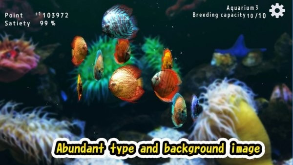 热带鱼水族馆(discus)3