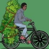 奥德彪逆袭记安卓免费游戏app